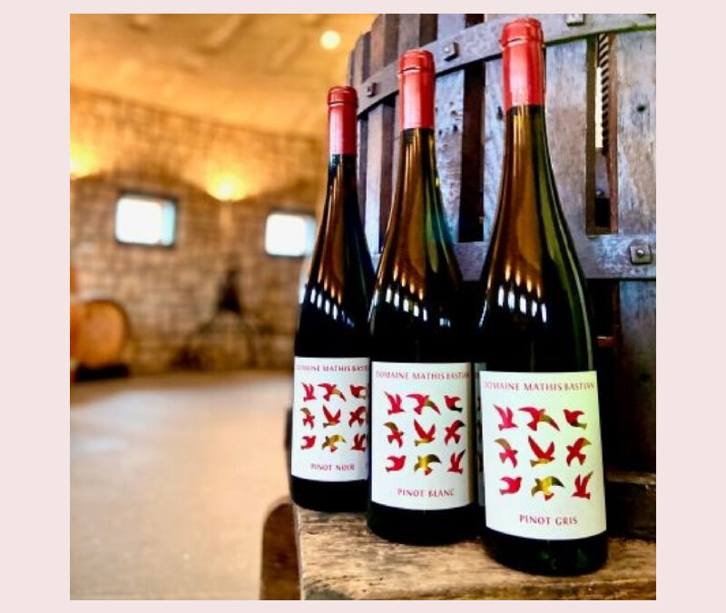 Invitation to a Winegrower’s Aperitif and Discover the Mathis Bastian Estate with Anouk Bastian